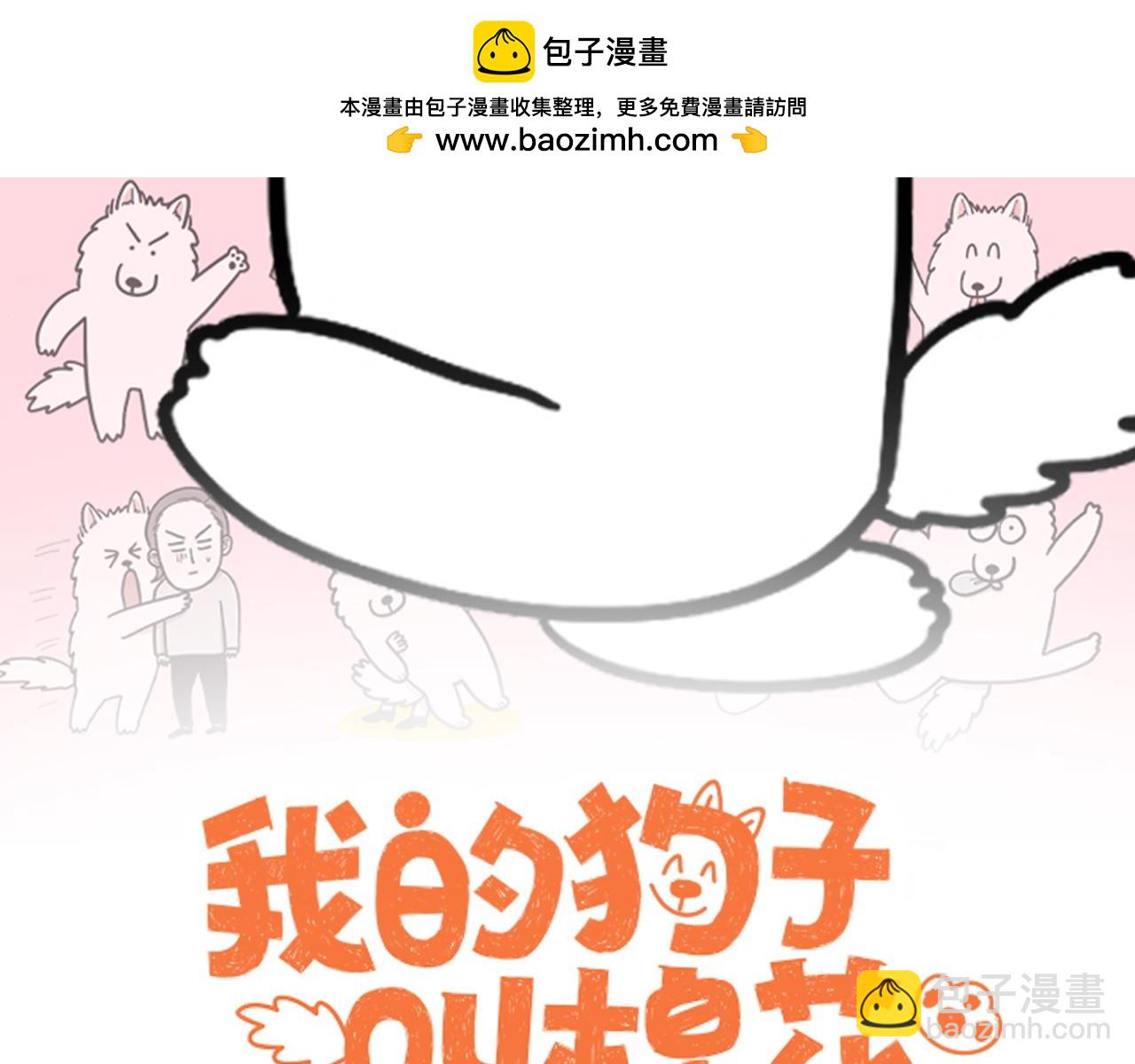 我的狗子叫棉花 - 第6話 喂狗狗吃藥粉的方法(1/2) - 2