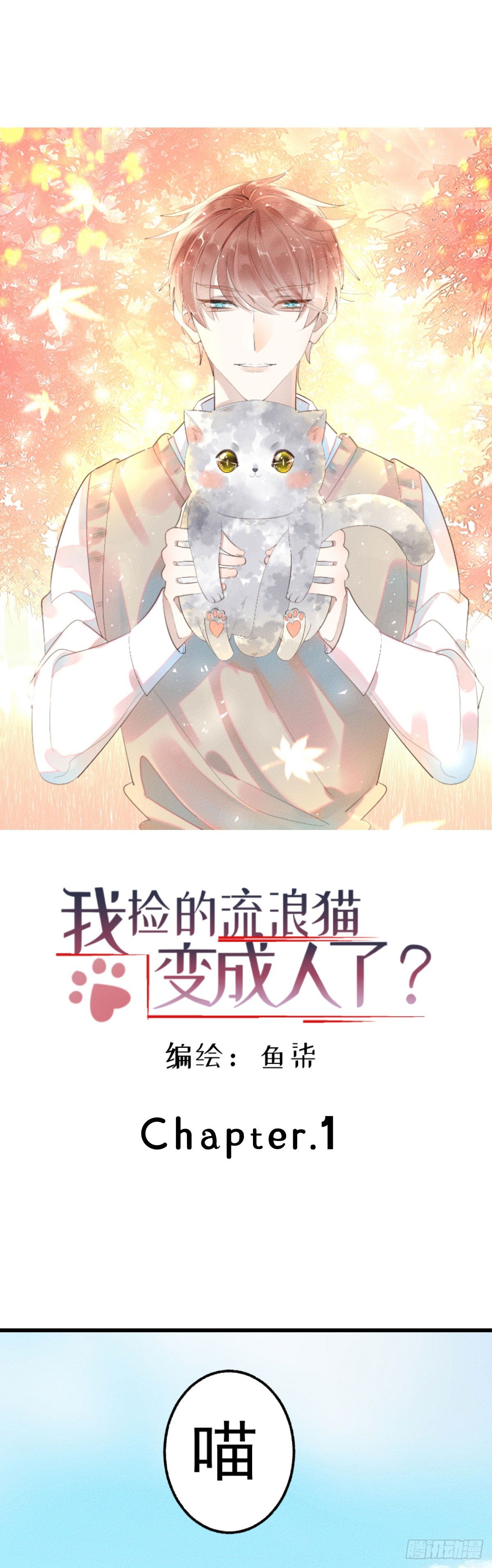 我撿的流浪貓變成人了？ - 1.路遇一隻小貓 - 1