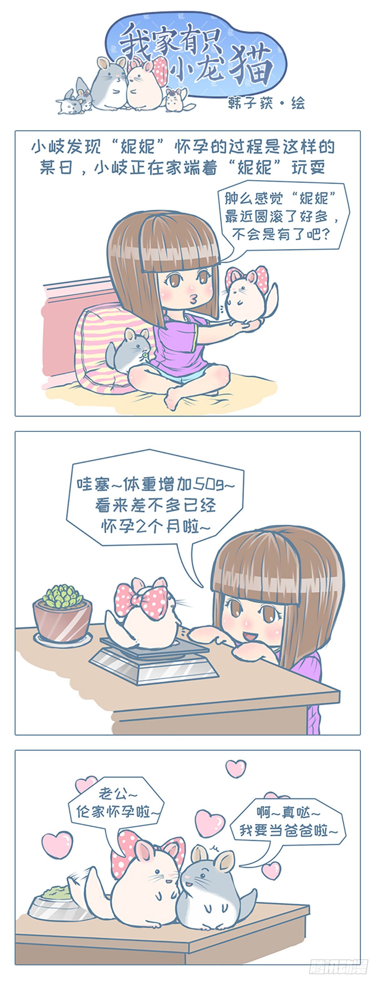 我家有隻小龍貓 - 第73個小故事 - 1