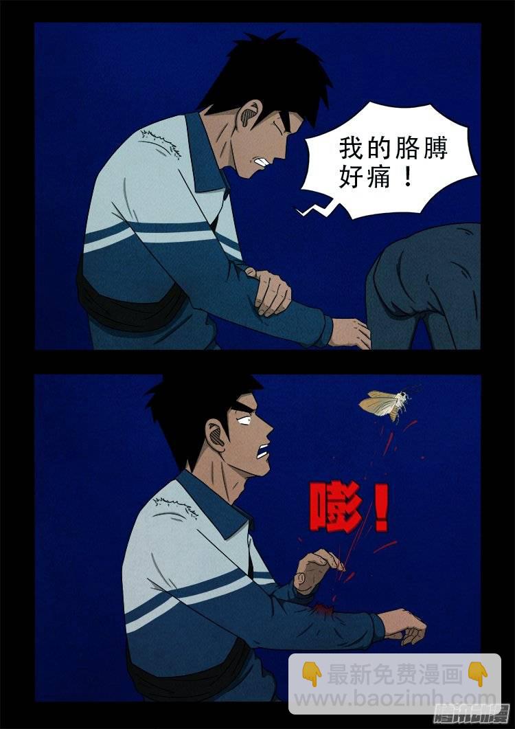 我爲蒼生 - 鸚鵡大廈 15 - 2