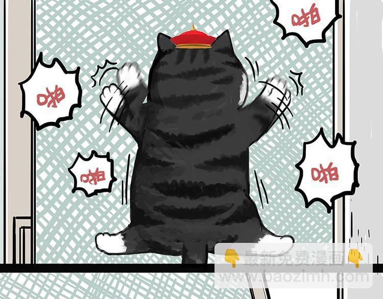 吾皇巴扎黑 - 第136話 不一樣又如何(1/2) - 4