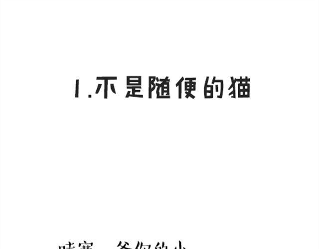 吾皇巴扎黑 - 第16話 我家貓怎麼能犧牲色相 - 1