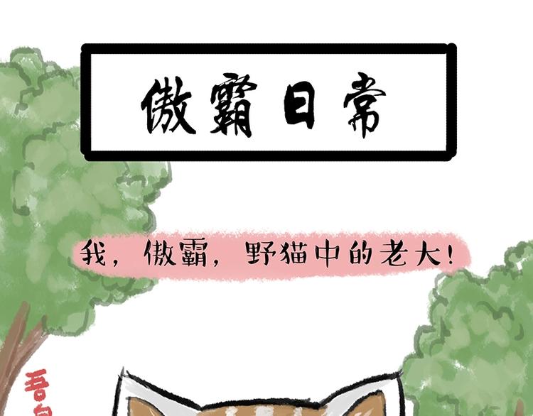 吾皇巴扎黑 - 第158話 傲霸日常(1/2) - 1