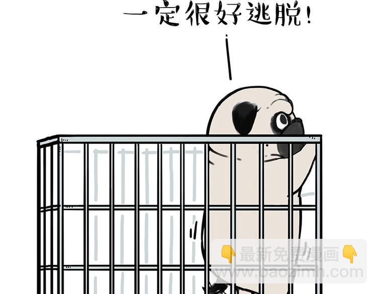 吾皇巴扎黑 - 第176話 不要打擾我追求自由(1/2) - 3