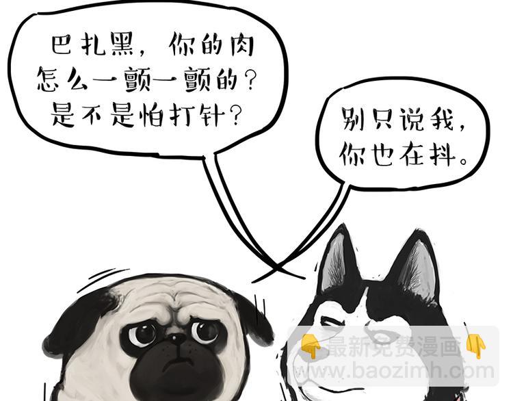吾皇巴扎黑 - 第218話 你不配有愛情 - 3