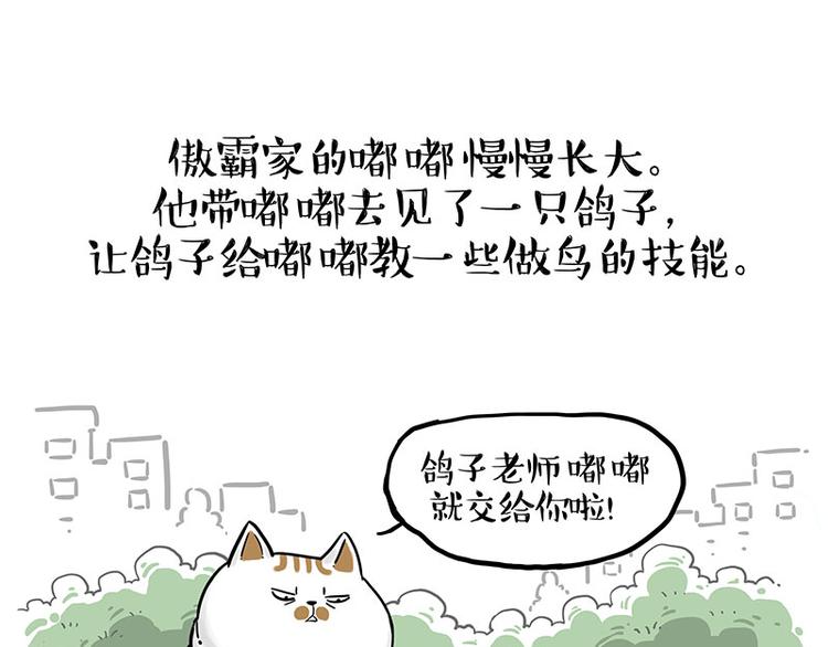吾皇巴扎黑 - 第246話 你被踢了(1/2) - 1