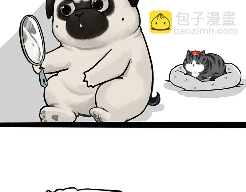吾皇巴扎黑 - 第302話 與爹鬥不得(1/2) - 3