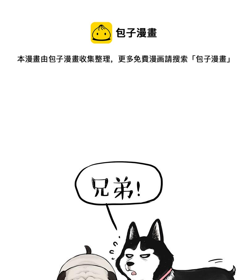 吾皇巴扎黑 - 第358話 都是錯覺 - 1
