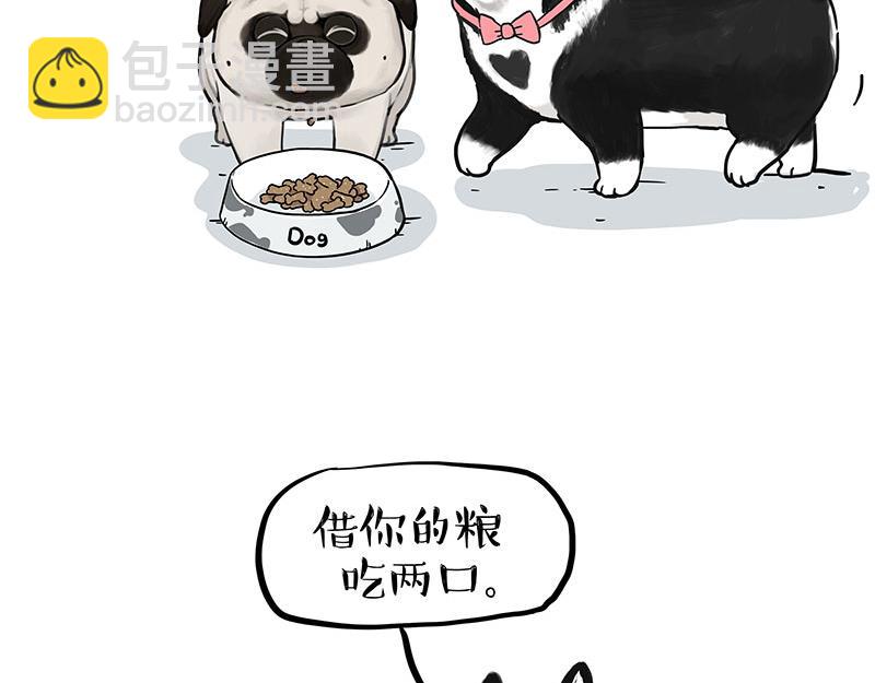 吾皇巴扎黑 - 第358話 都是錯覺 - 2