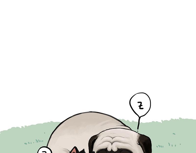 吾皇巴扎黑 - 第370話 你就寵它吧 - 1