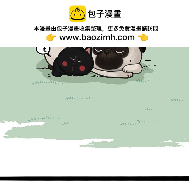 吾皇巴扎黑 - 第370話 你就寵它吧 - 2