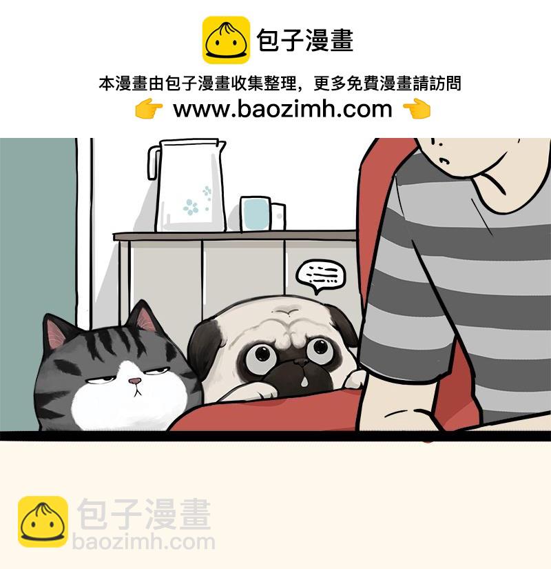 吾皇巴扎黑 - 第410話 感情線大進展(1/3) - 2