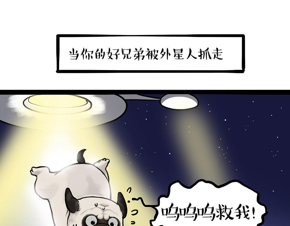 吾皇巴扎黑 - 第444話 定！ - 1