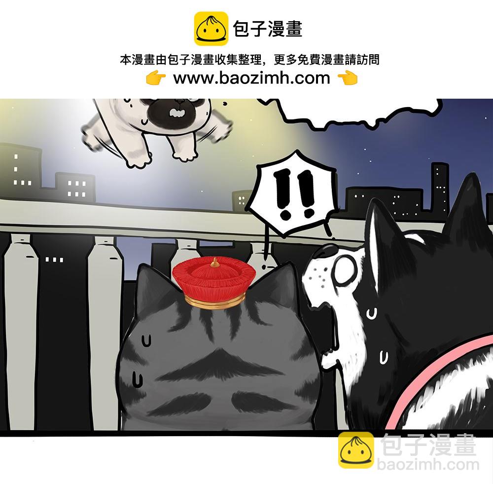 吾皇巴扎黑 - 第444話 定！ - 2