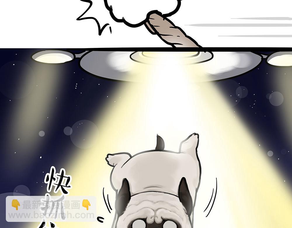 吾皇巴扎黑 - 第444話 定！ - 4