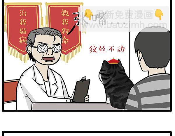 吾皇巴扎黑 - 第78話 帶寵物看病（上） - 2