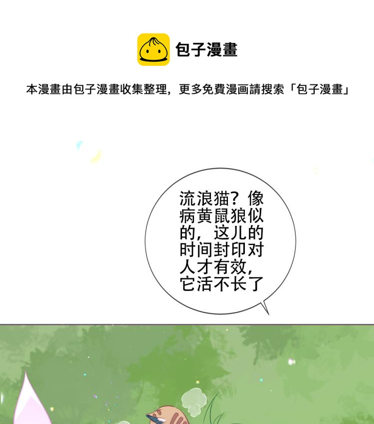 吾凰在上 - 番外  無夜城的一隻貓(1/2) - 1