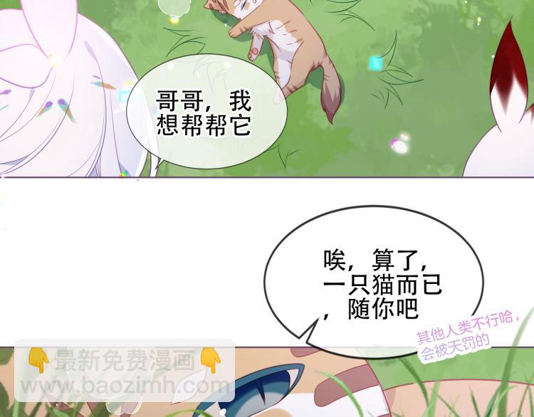 吾凰在上 - 番外  無夜城的一隻貓(1/2) - 2
