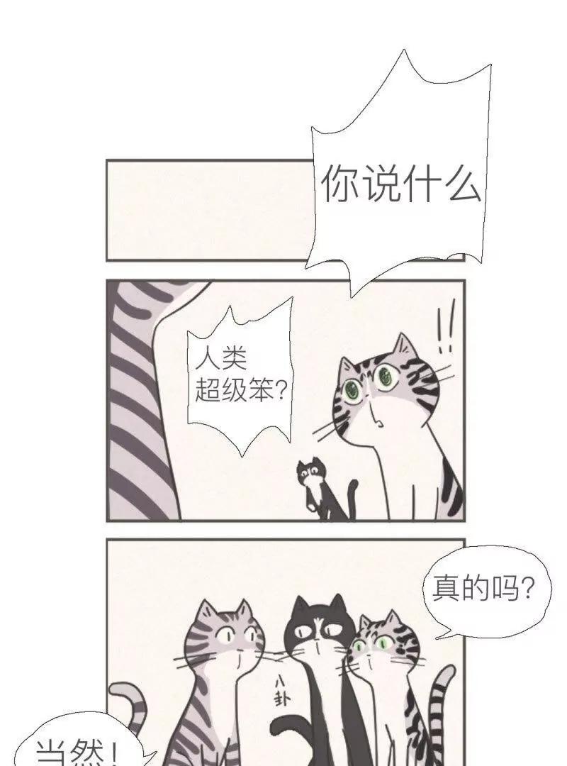 伍拾是隻煩人的貓 - 02 - 1