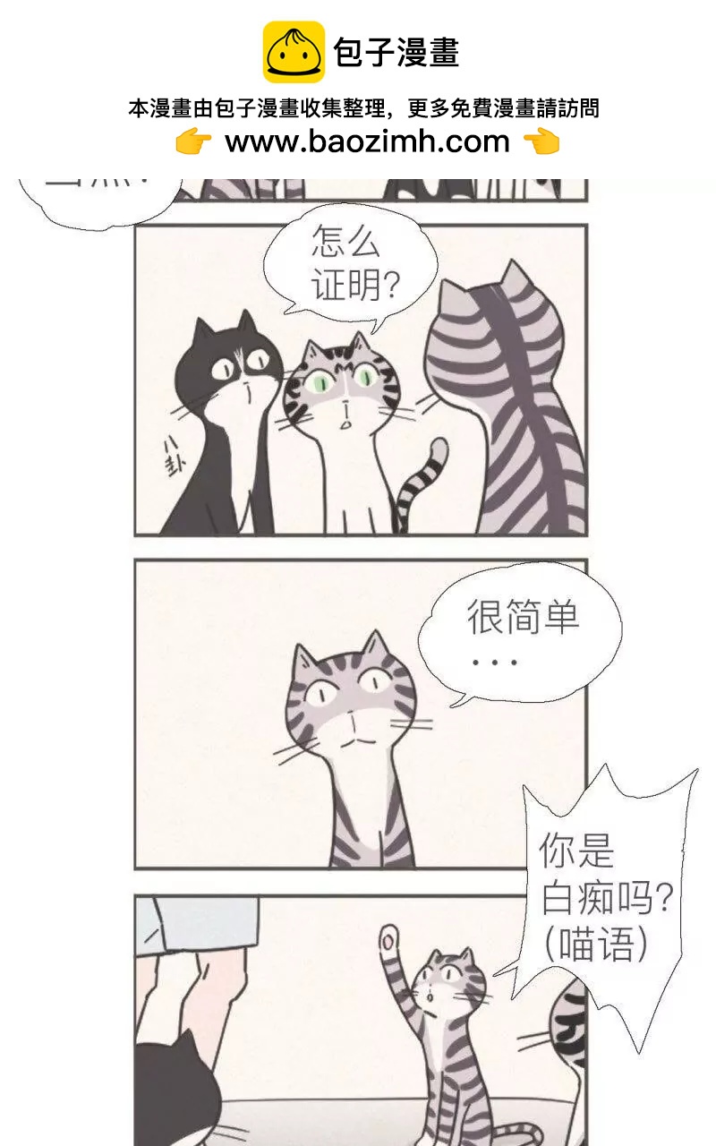 伍拾是隻煩人的貓 - 02 - 1