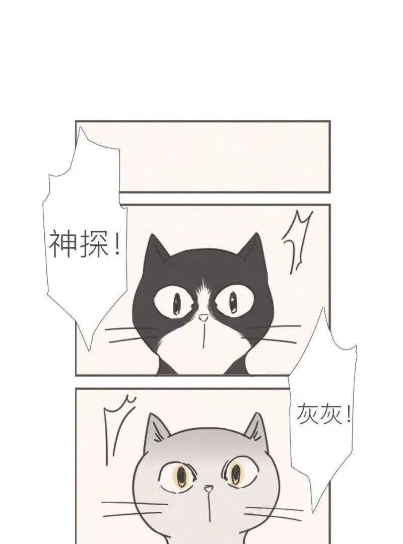 伍拾是隻煩人的貓 - 04 - 1