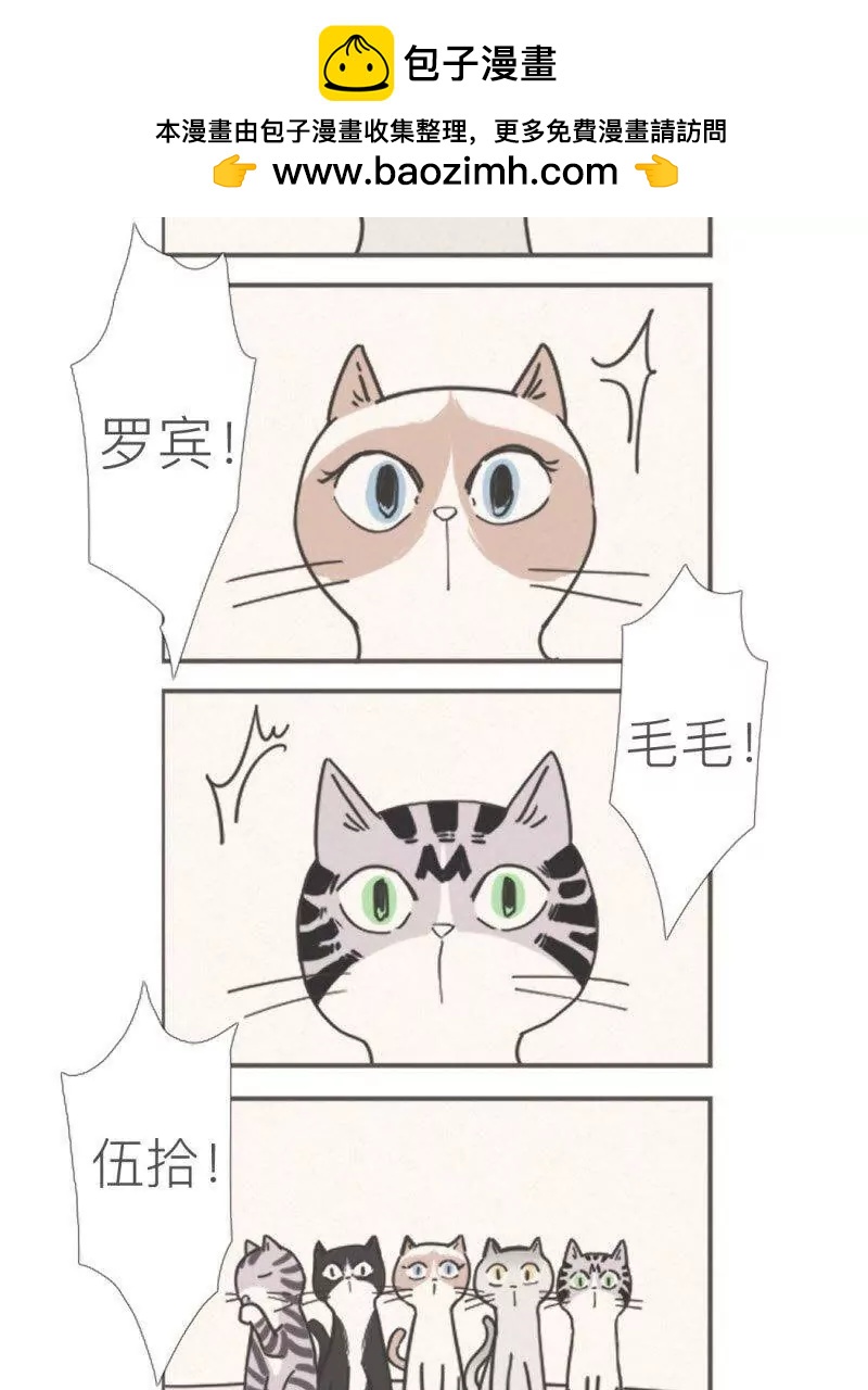 伍拾是隻煩人的貓 - 04 - 1