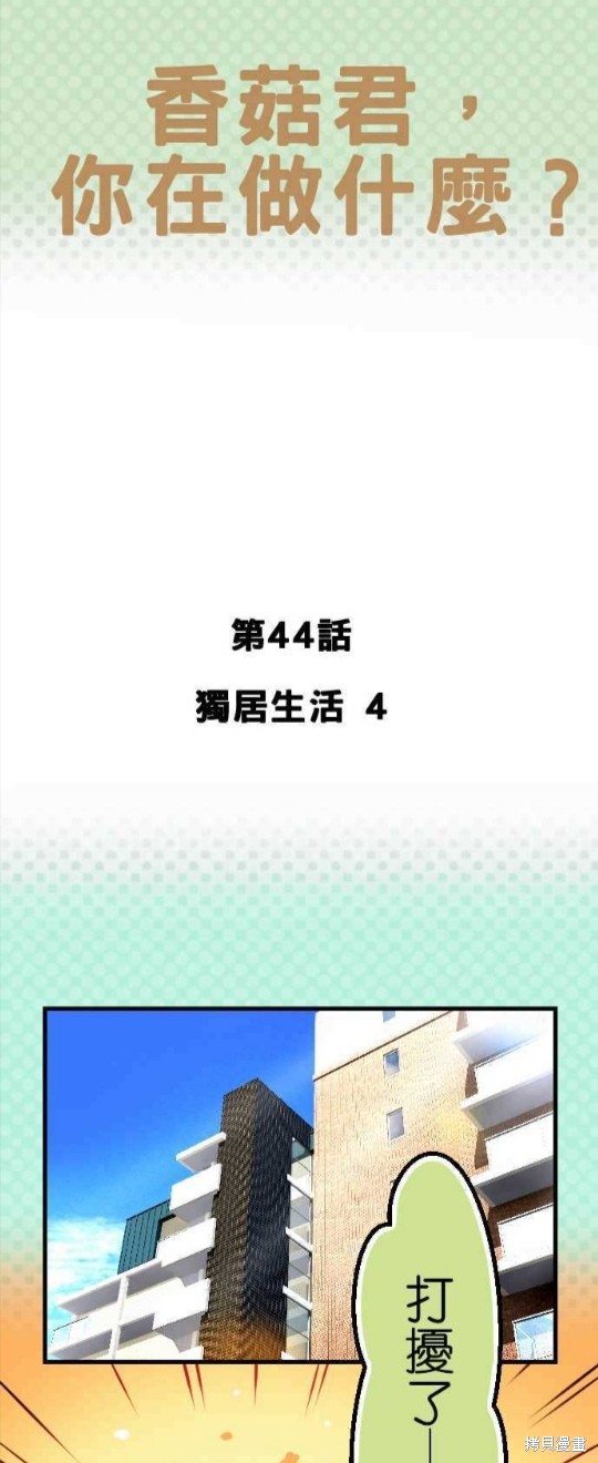 香菇君，你在做什麼? - 第44話 - 1