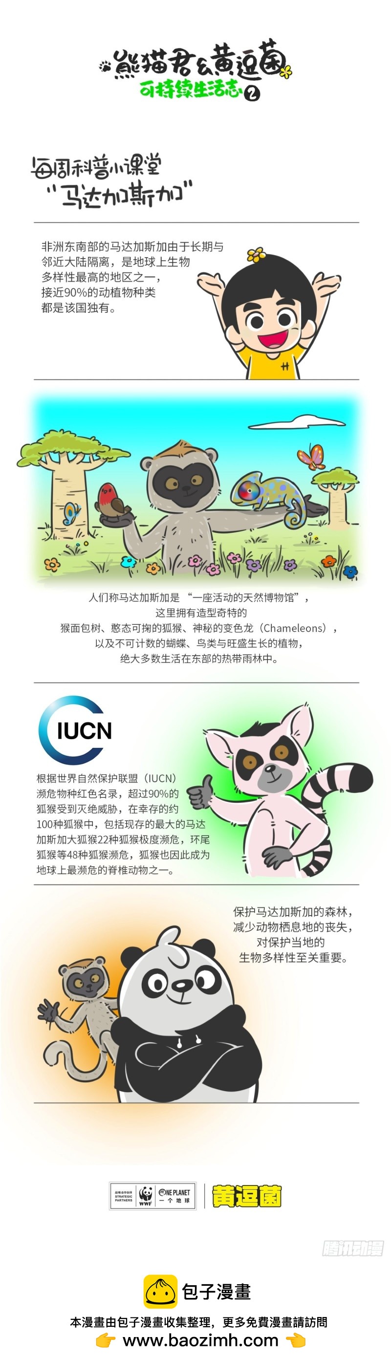 熊貓君和黃逗菌可持續生活志II - 科普番外——馬達加斯加 - 1
