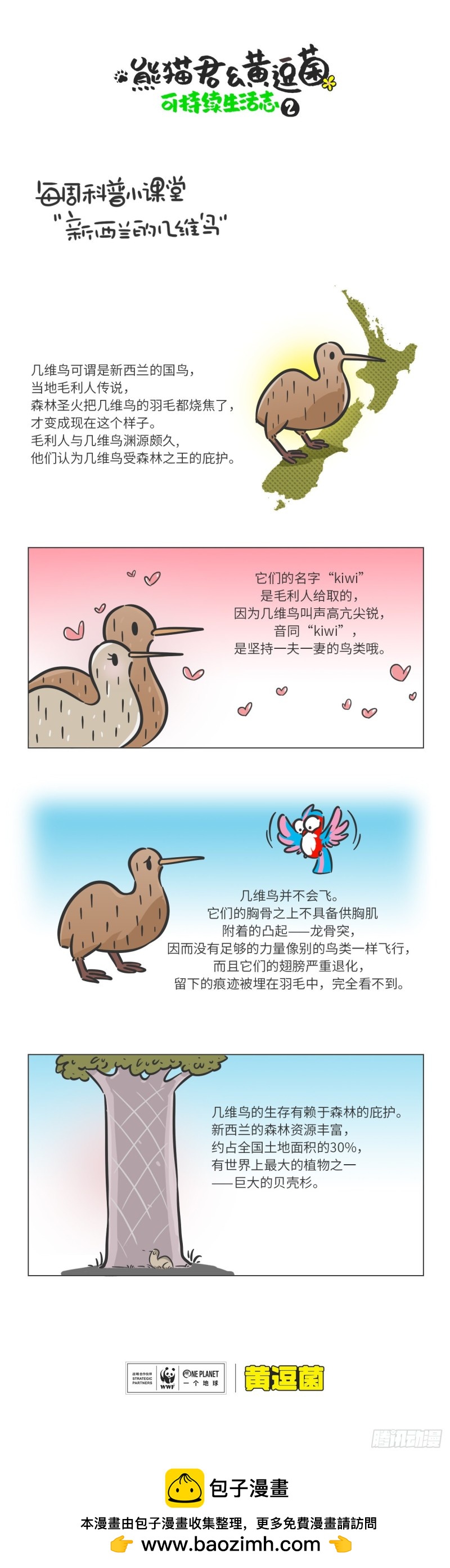 熊貓君和黃逗菌可持續生活志II - 科普番外——新西蘭的幾維鳥 - 1