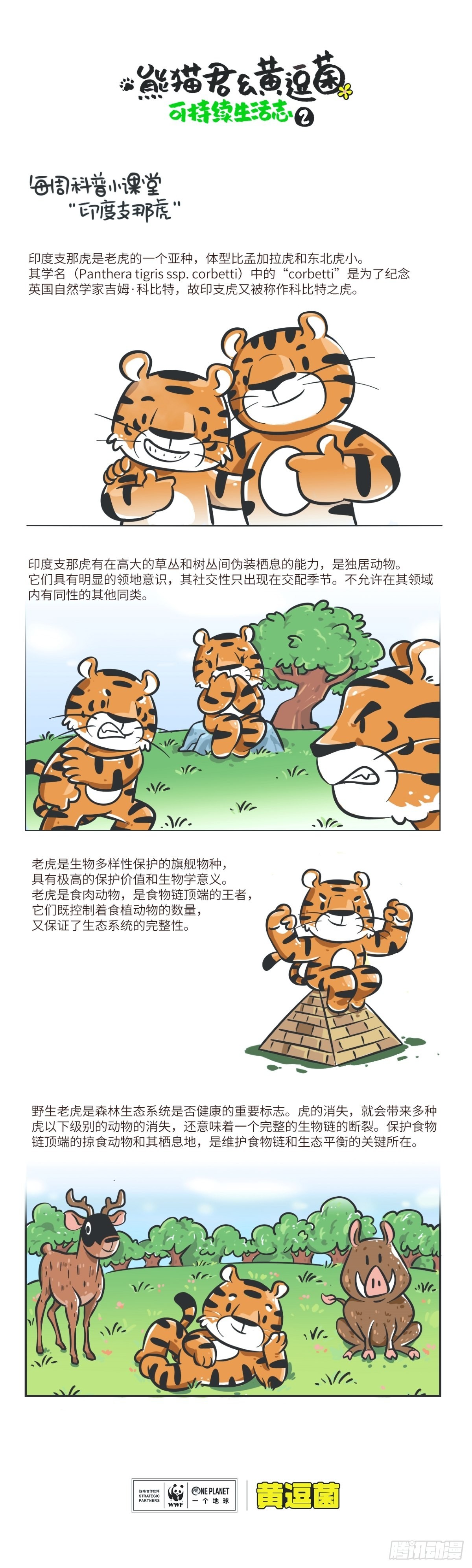 熊貓君和黃逗菌可持續生活志II - 科普番外——印度支那虎 - 1