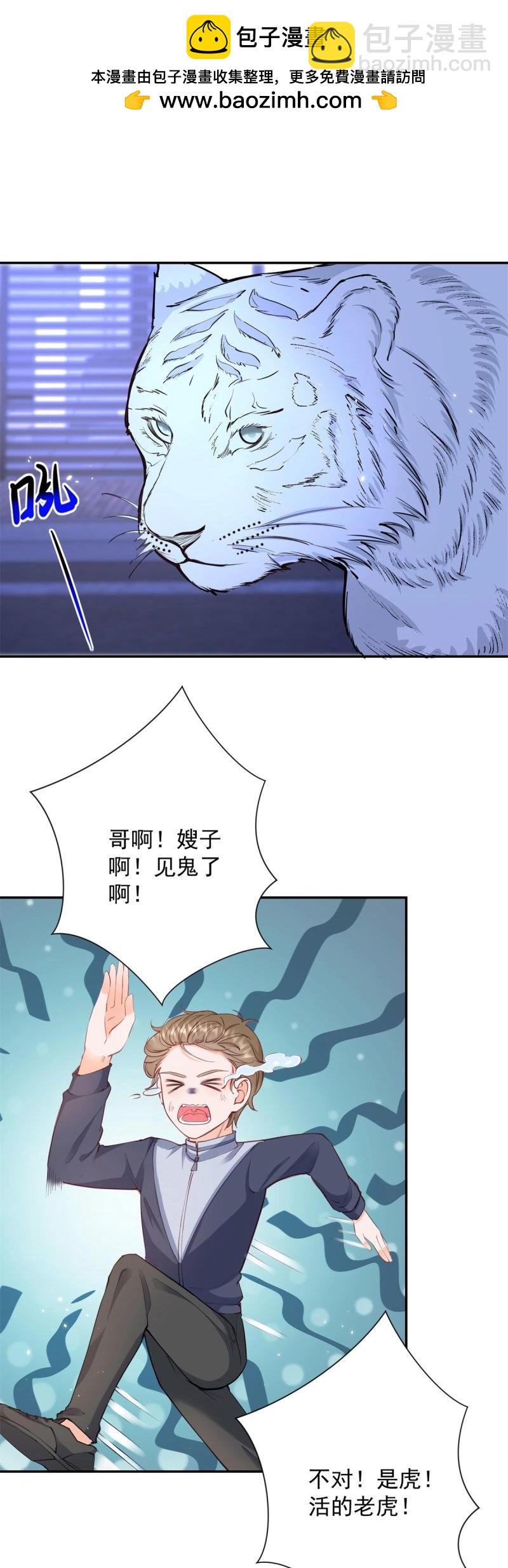 許你萬丈光芒好 - 第402話 第395話 白虎 - 2