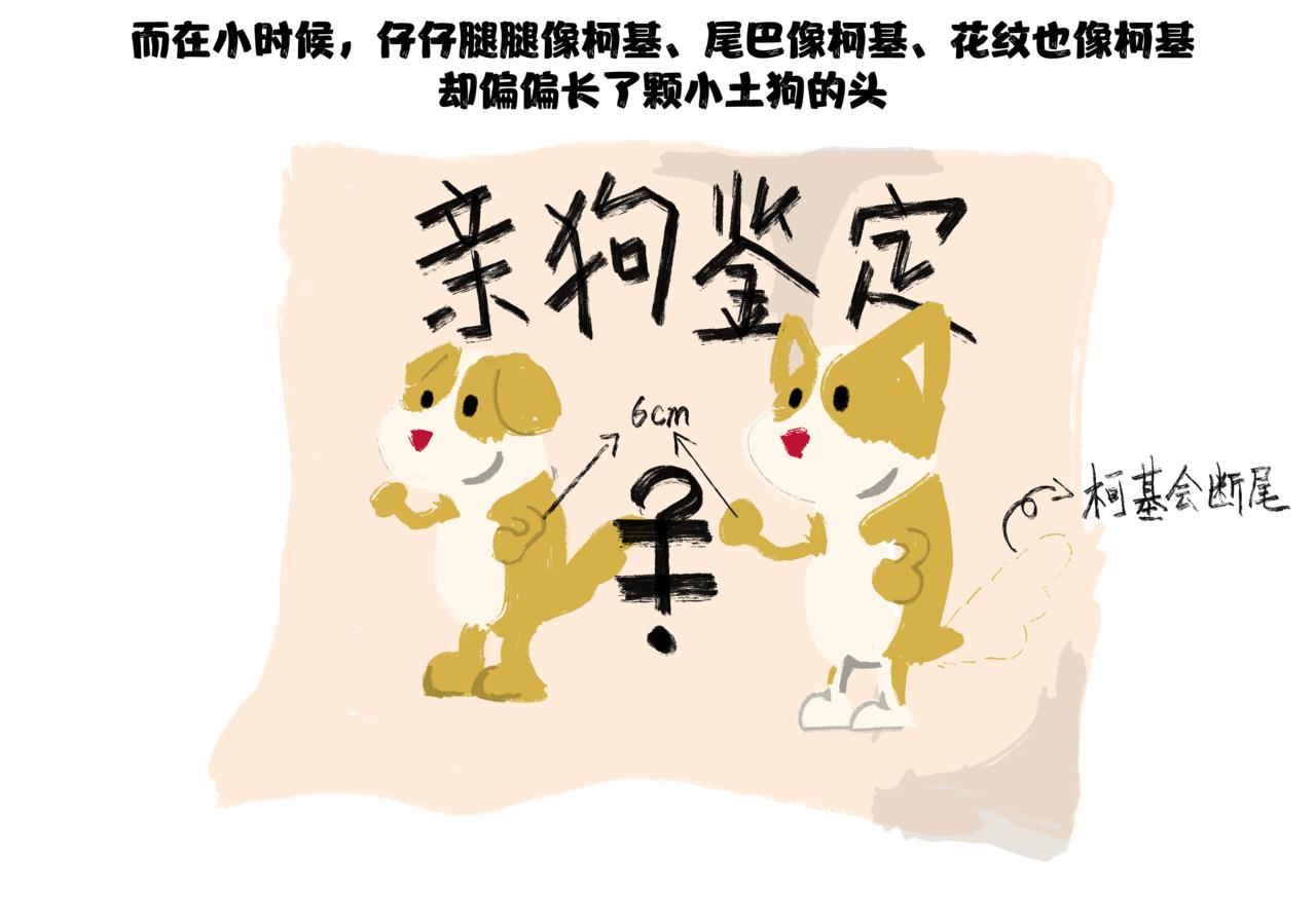 陽陽的世界 - 仔仔的別離 - 3