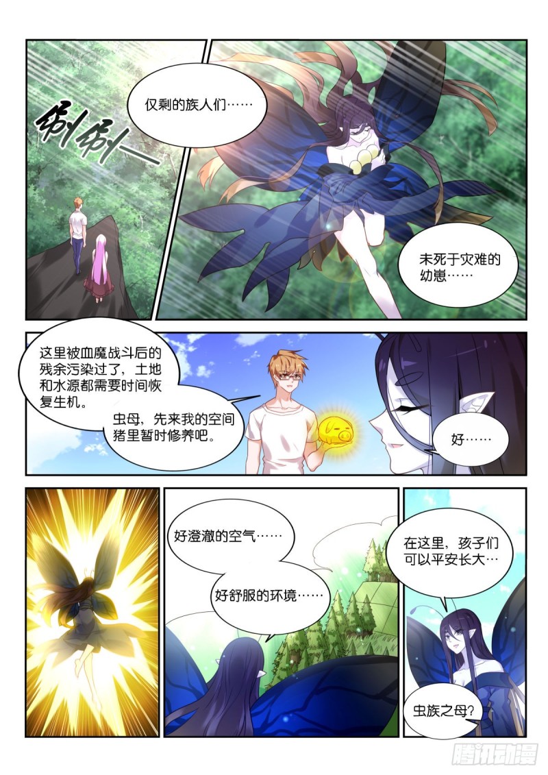 妖精種植手冊 - 449-妖精秘境 - 1