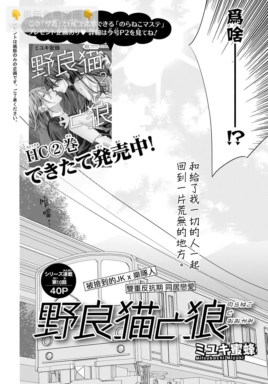 野貓與狼 - 第11話 - 2