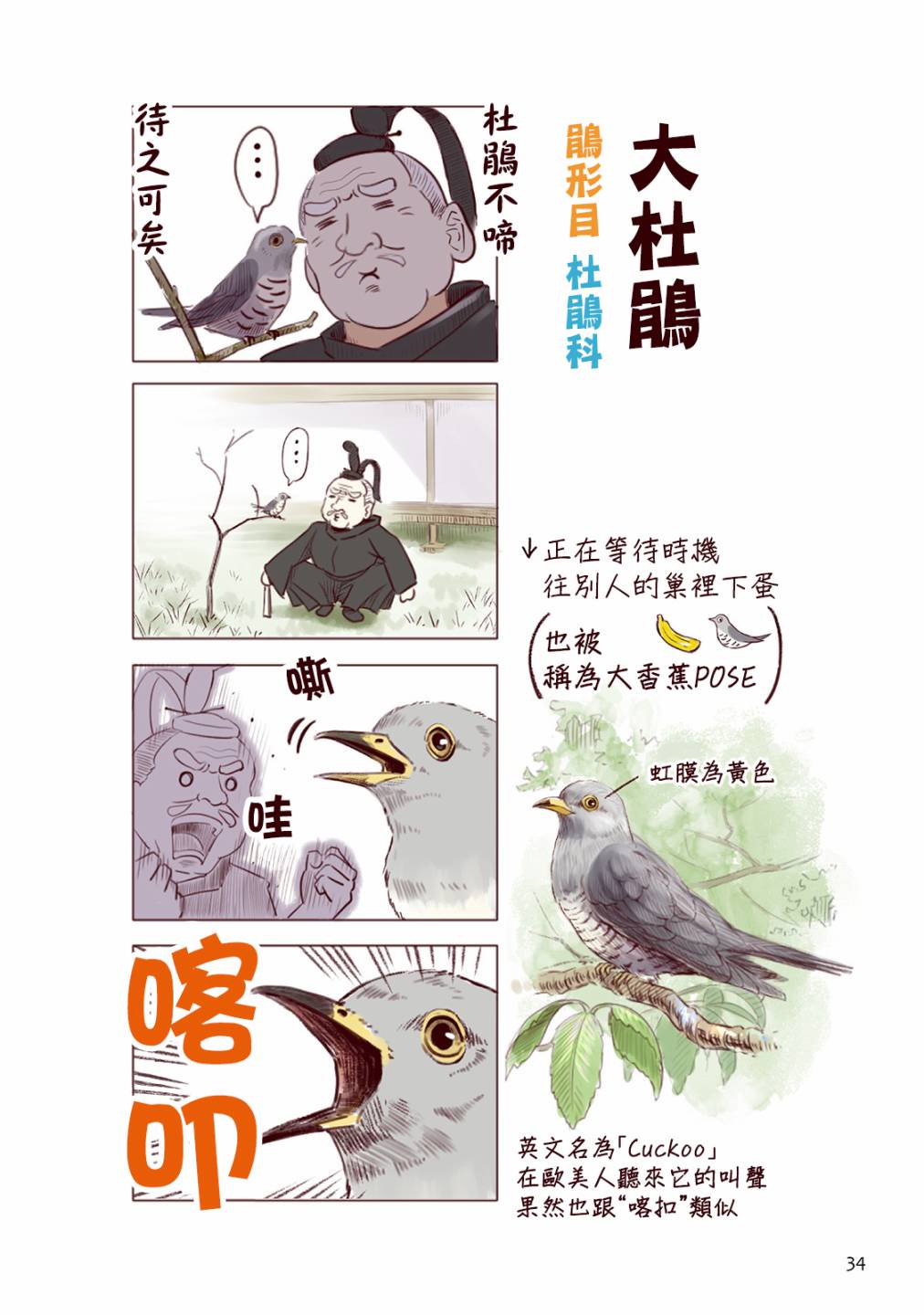 野生動物竟在我身邊 - 夏 - 2