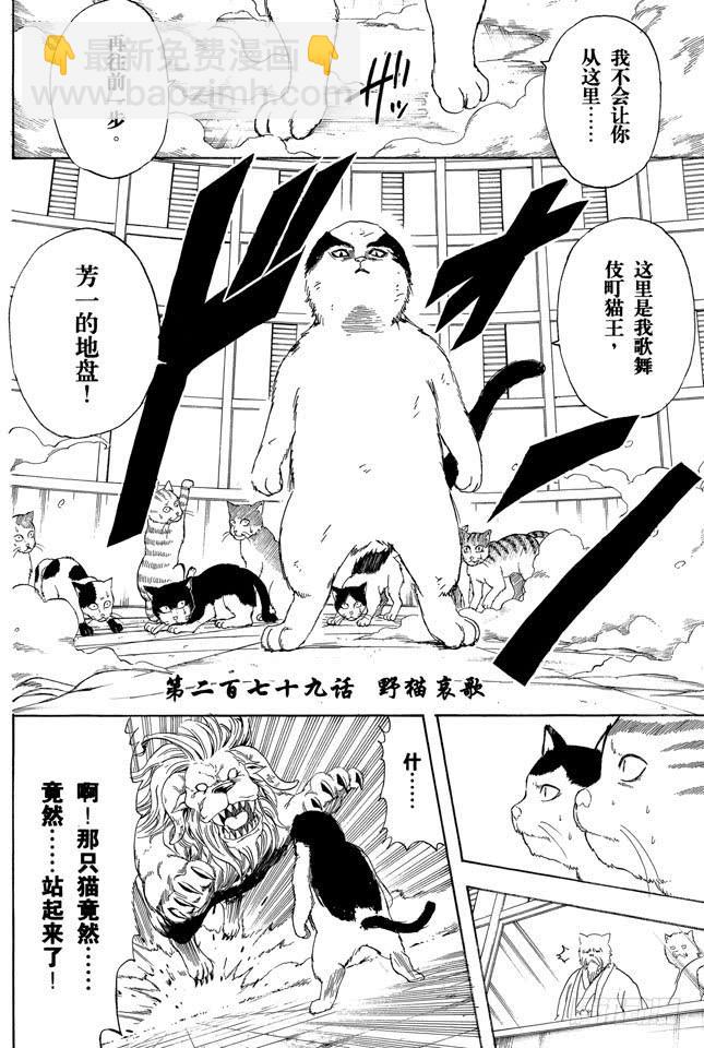 銀魂 - 第279話 野貓哀歌 - 2