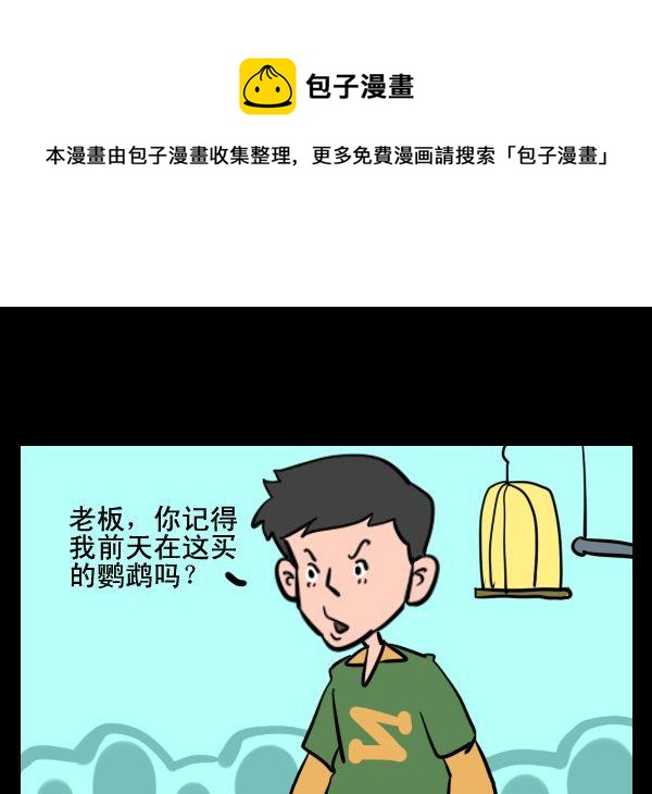 藝術的腳步 - 8 鸚鵡 - 1