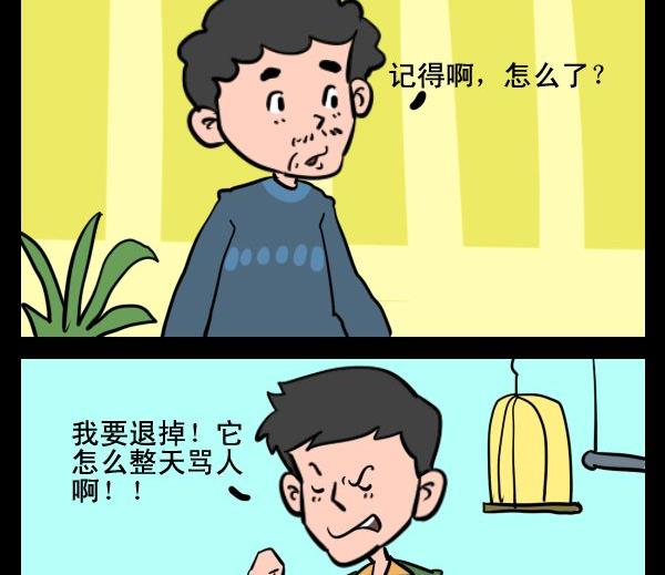 藝術的腳步 - 8 鸚鵡 - 1