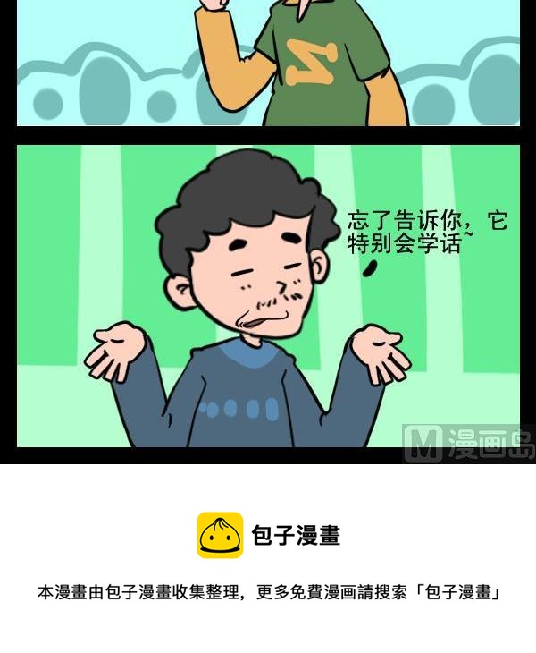 藝術的腳步 - 8 鸚鵡 - 1