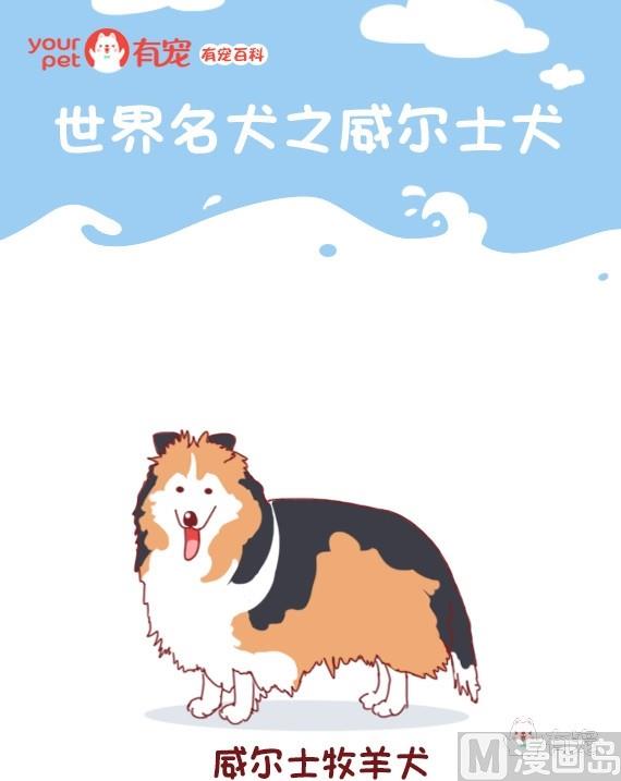 有寵百科 - 第62話 - 1