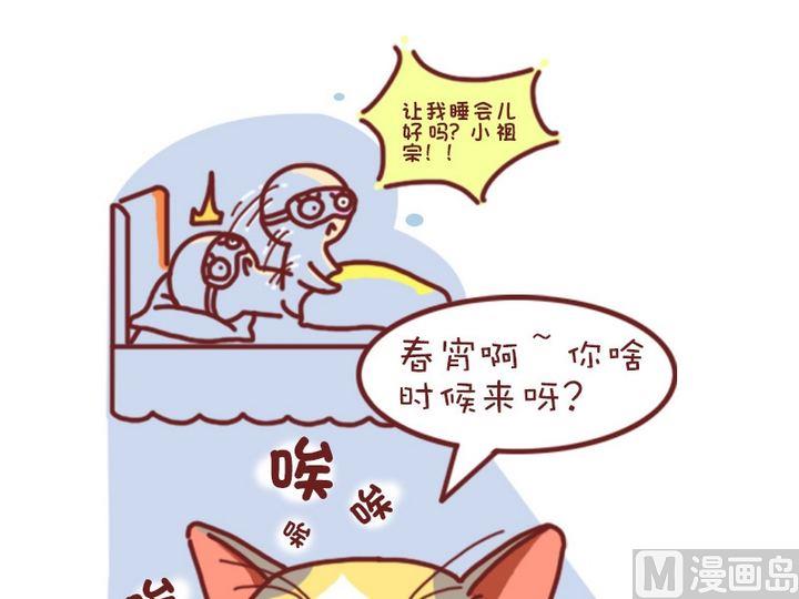 有寵百科 - 70如何判斷貓咪是否懷孕 - 3
