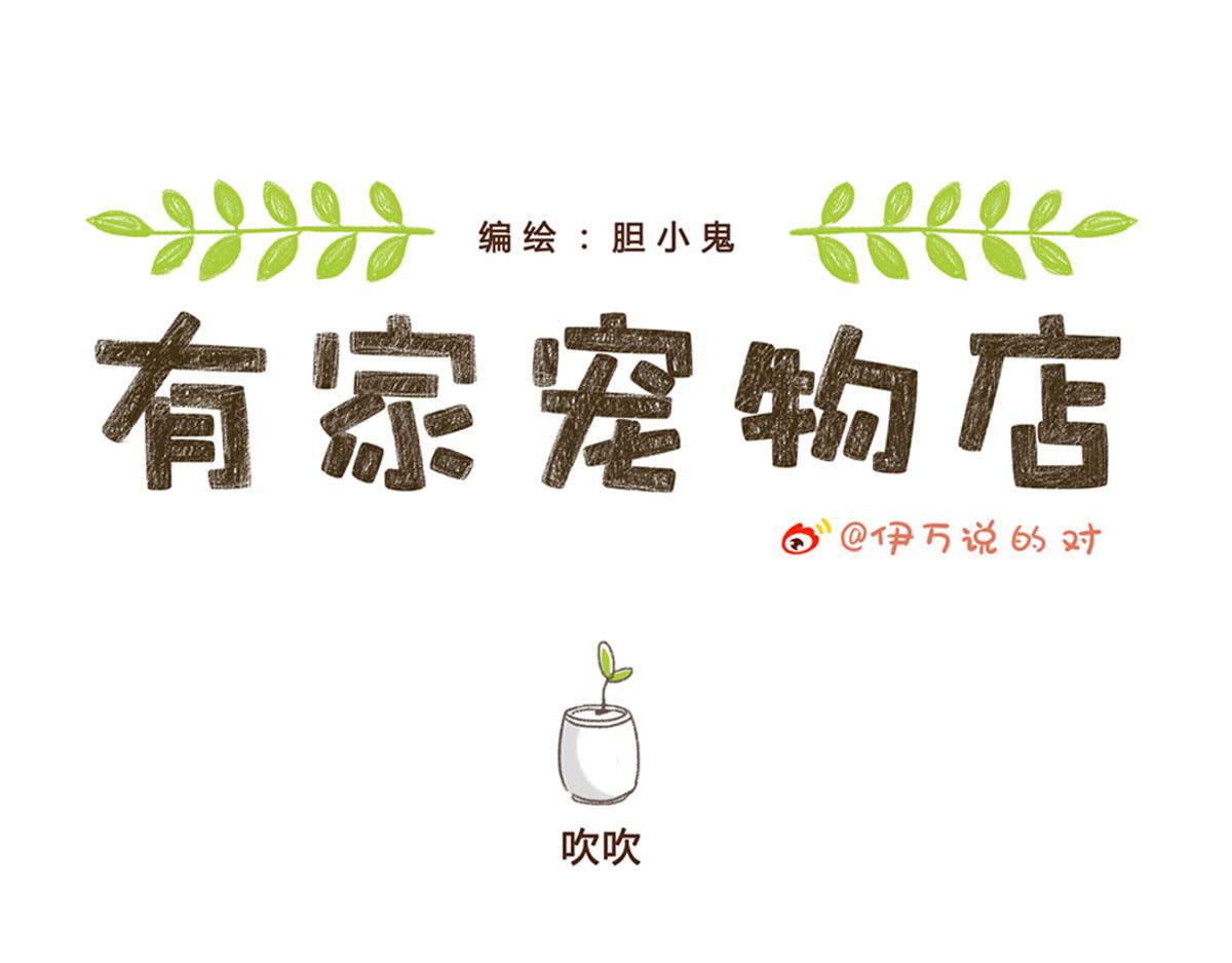 有家寵物店 - 你是我撩不動的崽(1/2) - 1
