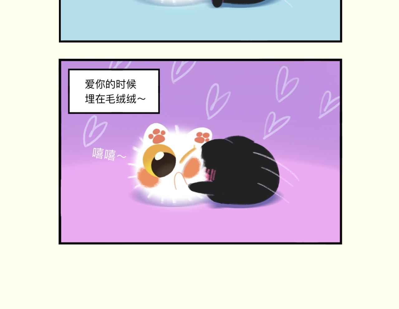 早啊，煤球 - 冬天真的很適合冬眠吶 - 3