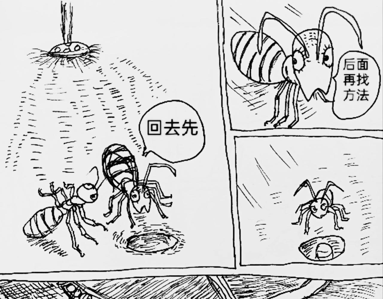 智慧之星 - 火種傳說 - 1