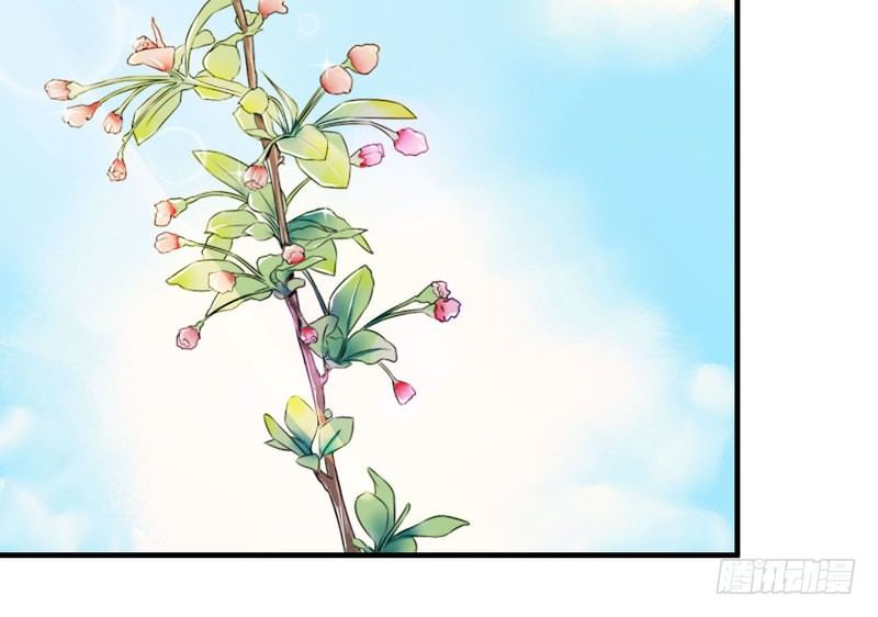 總裁的蜜寵嬌妻 - 006 嫁給我好不好？ - 2